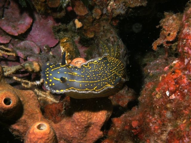  Ausflug in Periguier 